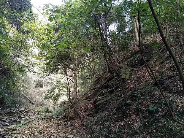 解锁产业振兴活力密码