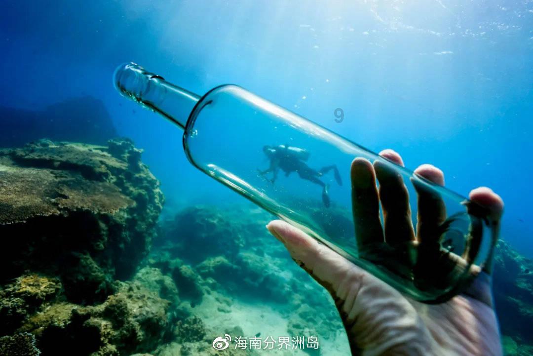植物大战僵尸8