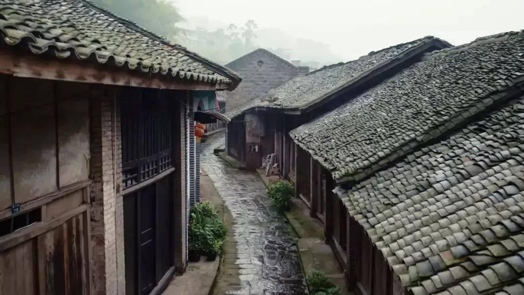 被禁止的道路