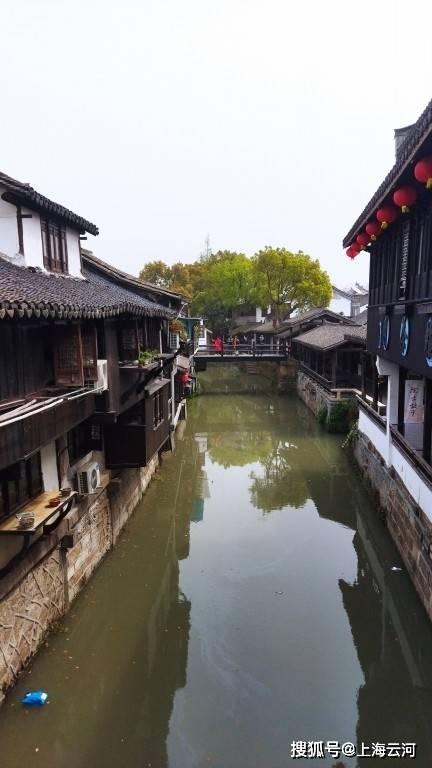 春雨直播app